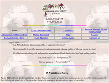 Tablet Screenshot of flowmasters.com